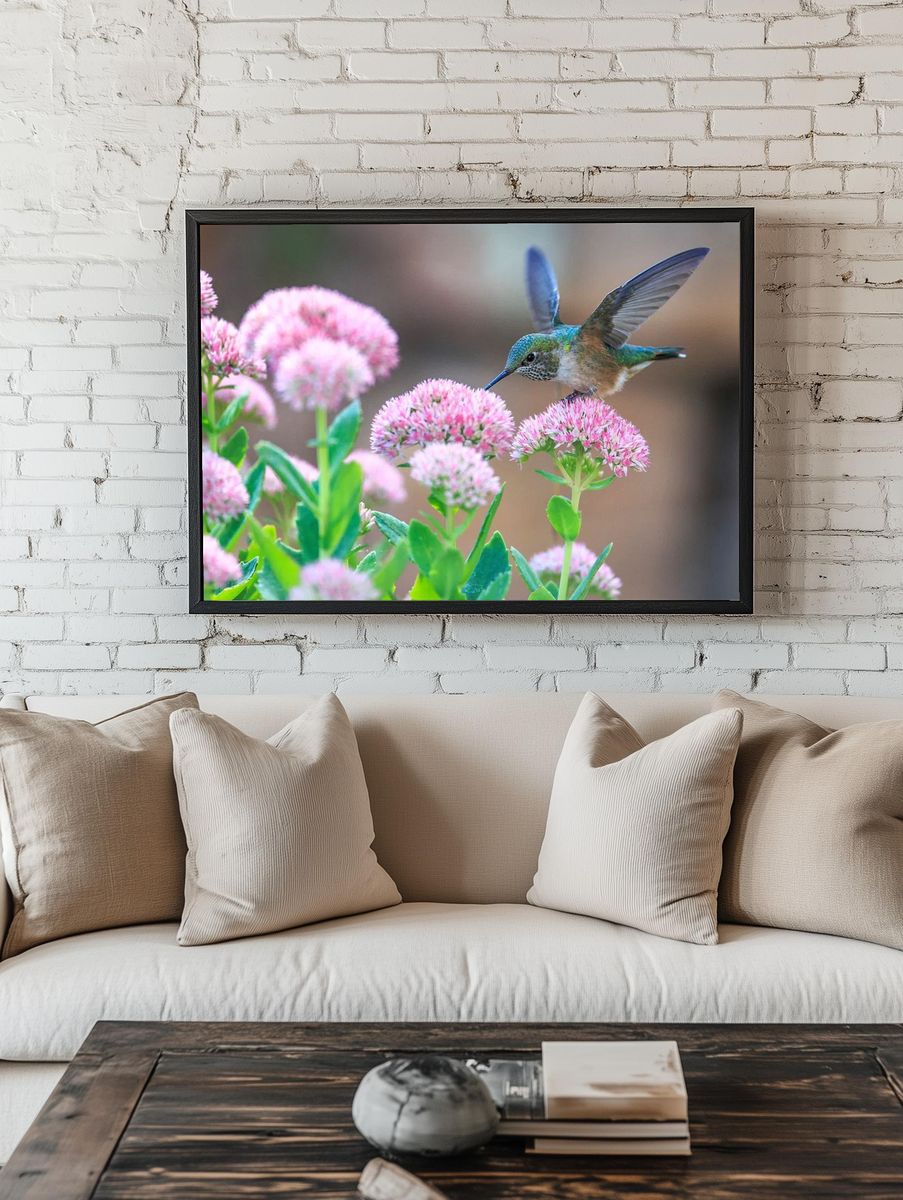 Hummingbird feeding flower. — room view 1