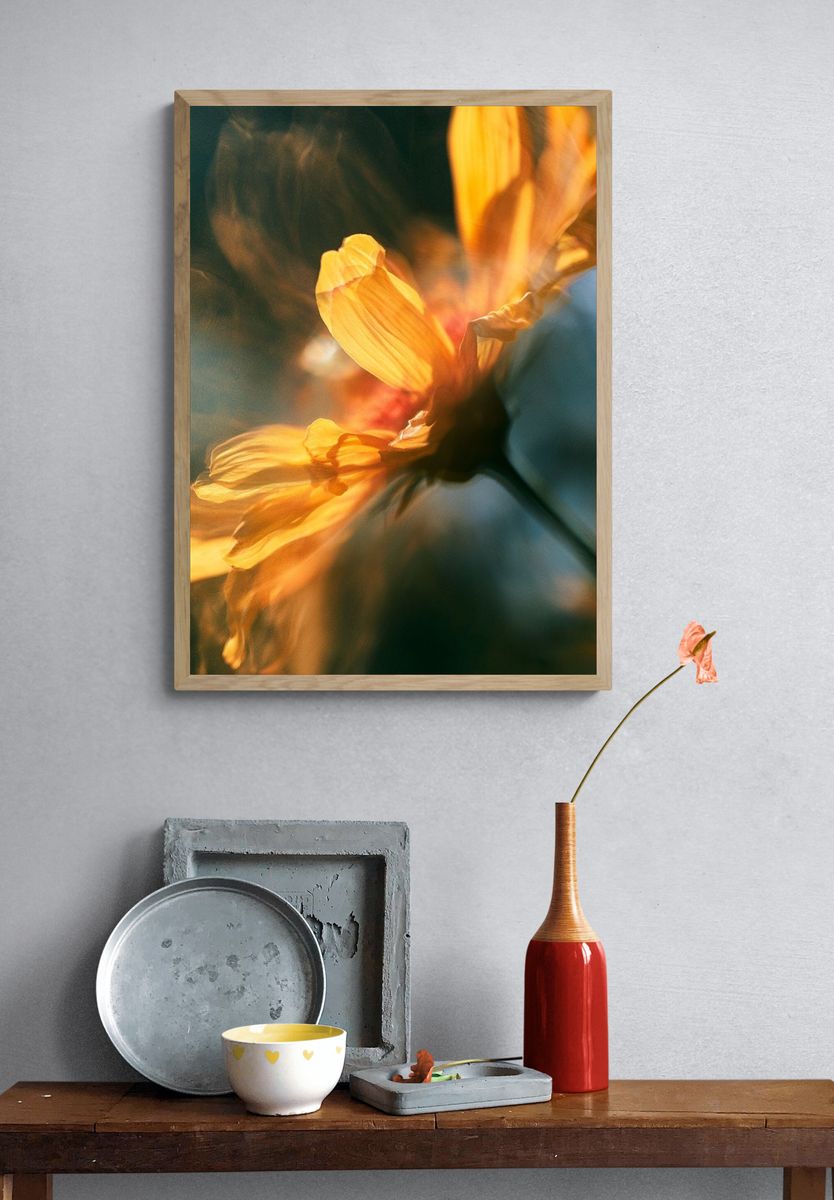 Golden Flower Bloom Photography Poster. — room view 3