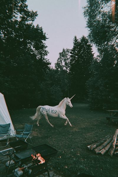 Unicorn in the Forest Photography Poster. poster