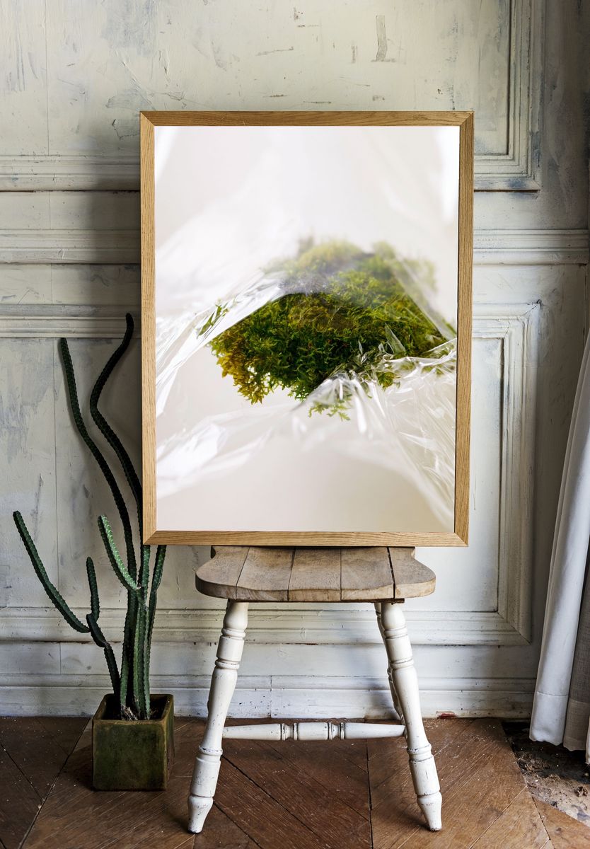 Moss in Plastic Wrap Photography Poster. — room view 1