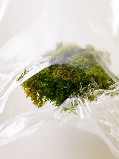 Moss in Plastic Wrap Photography Poster.