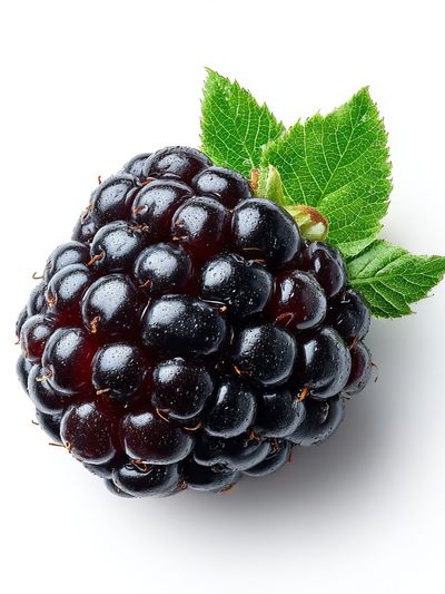 Blackberry Still Life Photography Poster. poster