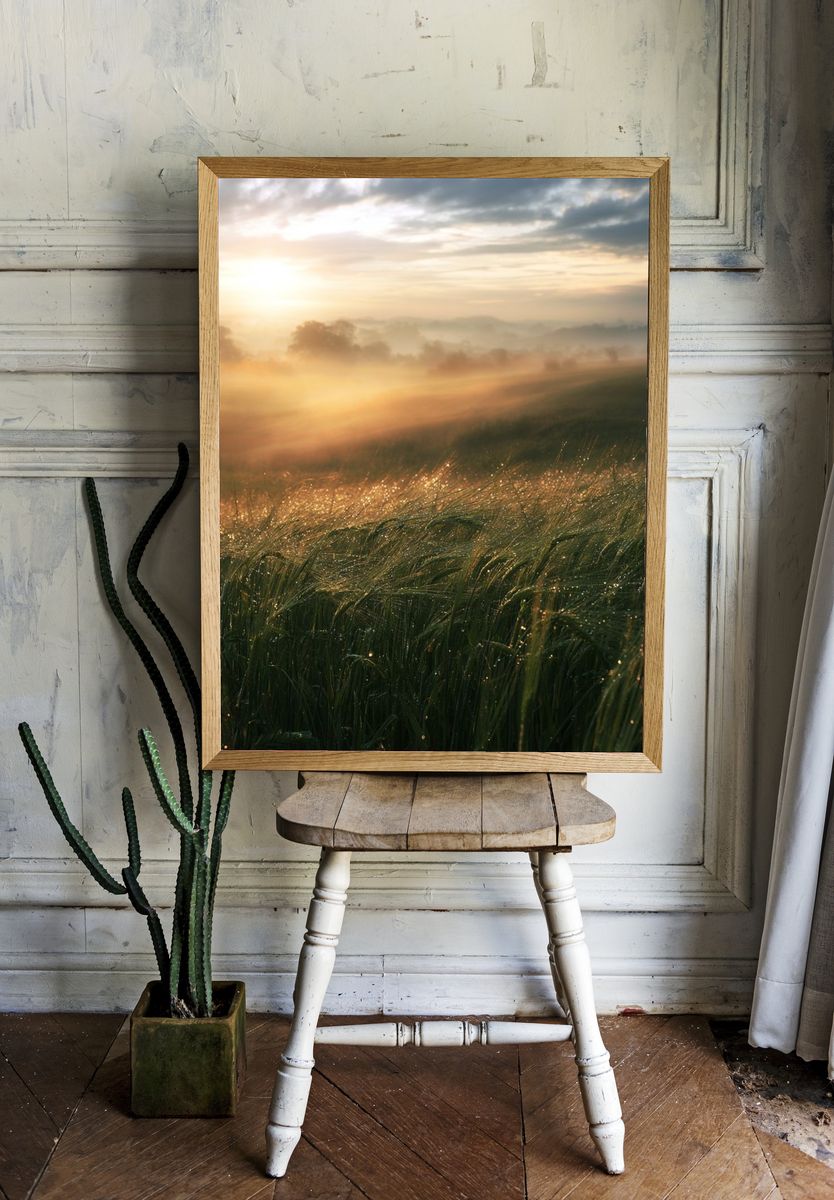 Misty Sunrise Meadow Photography Poster. — room view 1