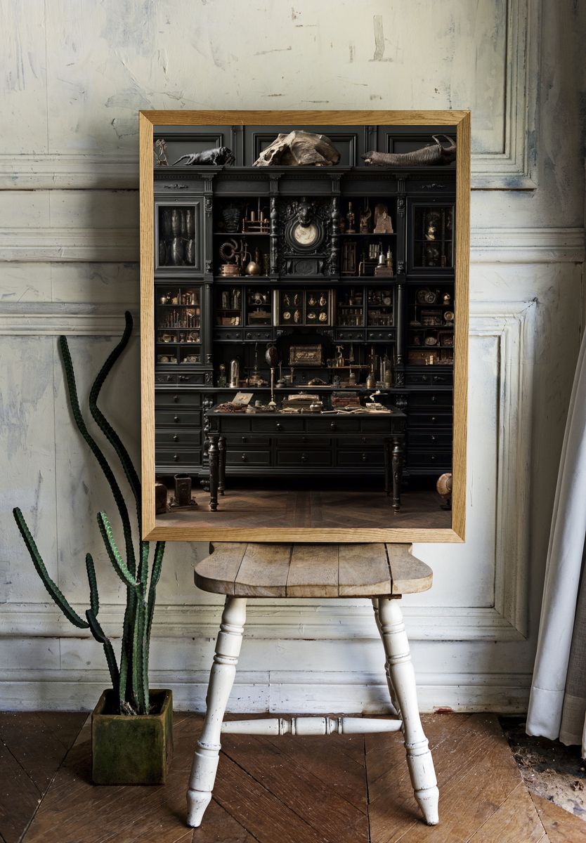 Dark Curiosity Cabinet Photography Poster. — room view 1