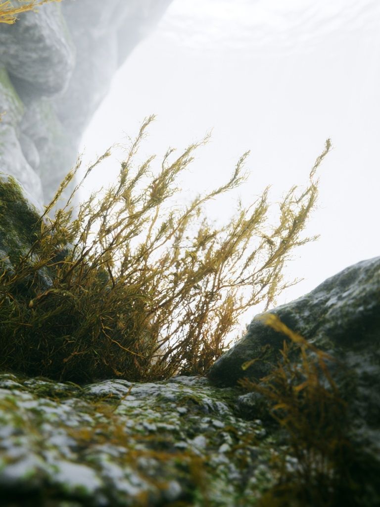 Misty Coastal Rocks Photography Poster. poster detail