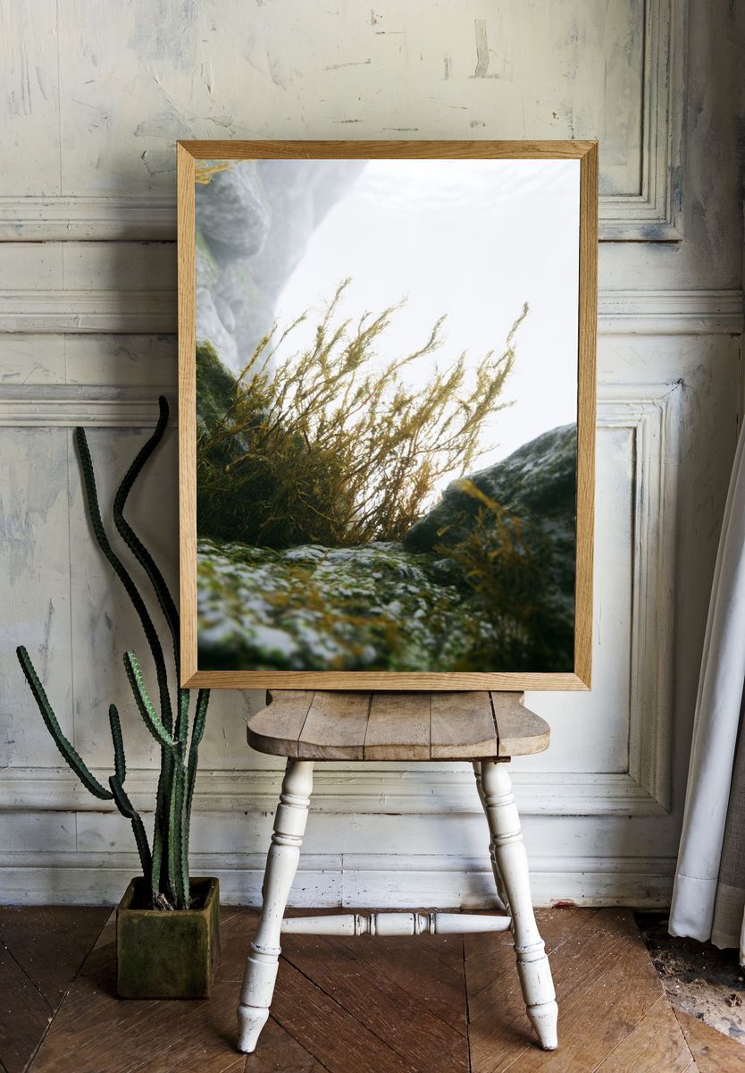 Misty Coastal Rocks Photography Poster. room preview