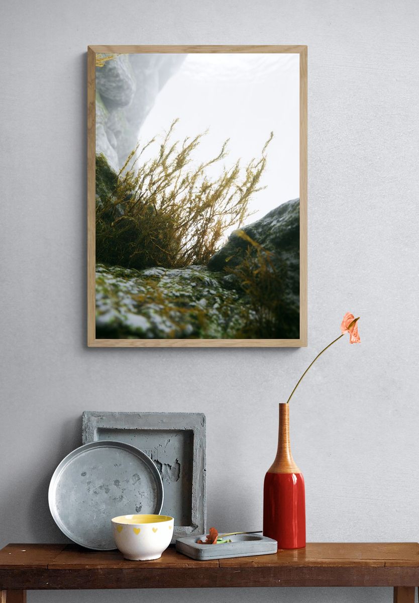 Misty Coastal Rocks Photography Poster. — room view 3