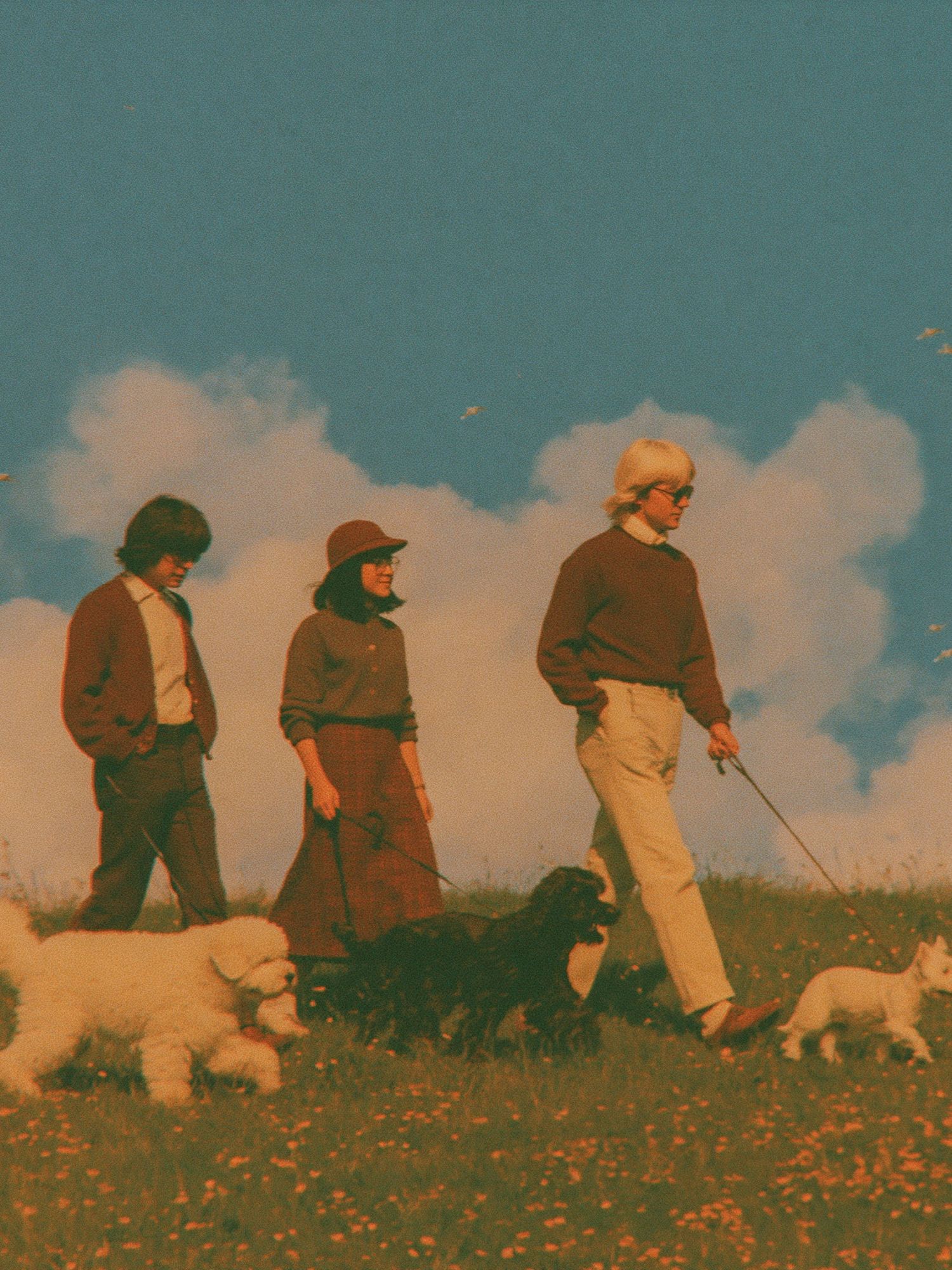 Retro Dog Walk Photography Poster. poster — photography art