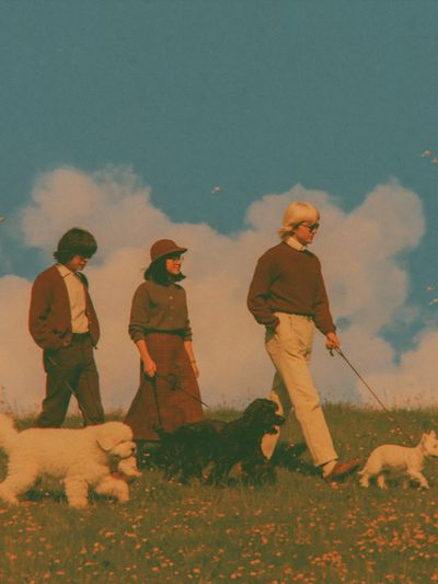Retro Dog Walk Photography Poster. poster print