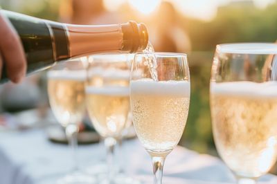 Champagne Toast Photography Poster.