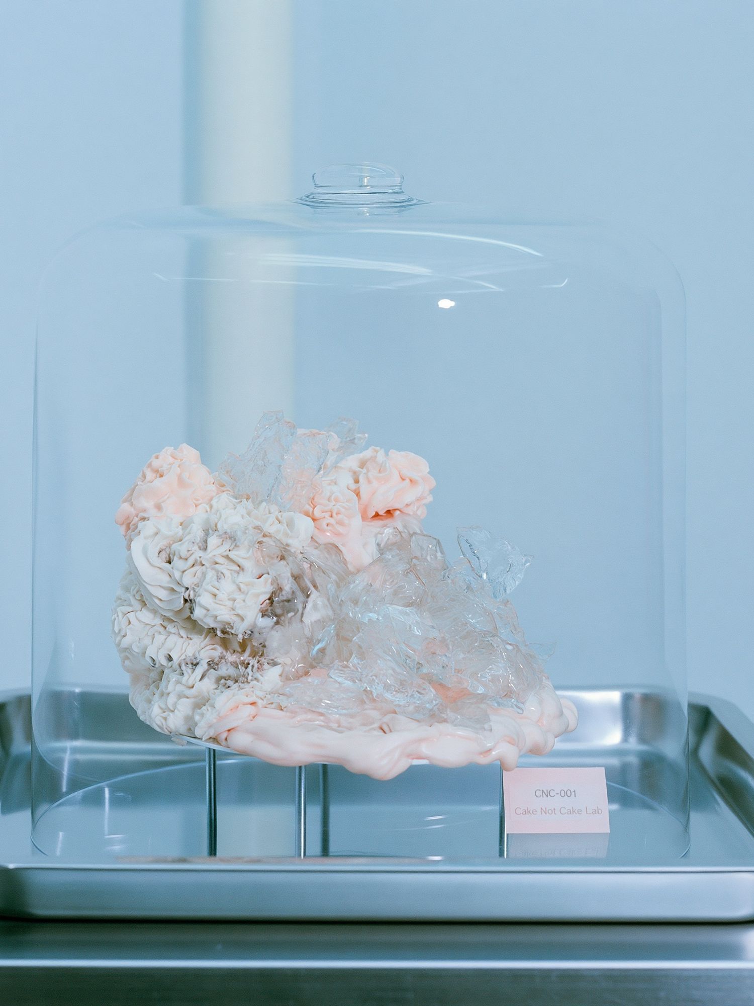 Cake Under Glass Photography Print. poster — photography art