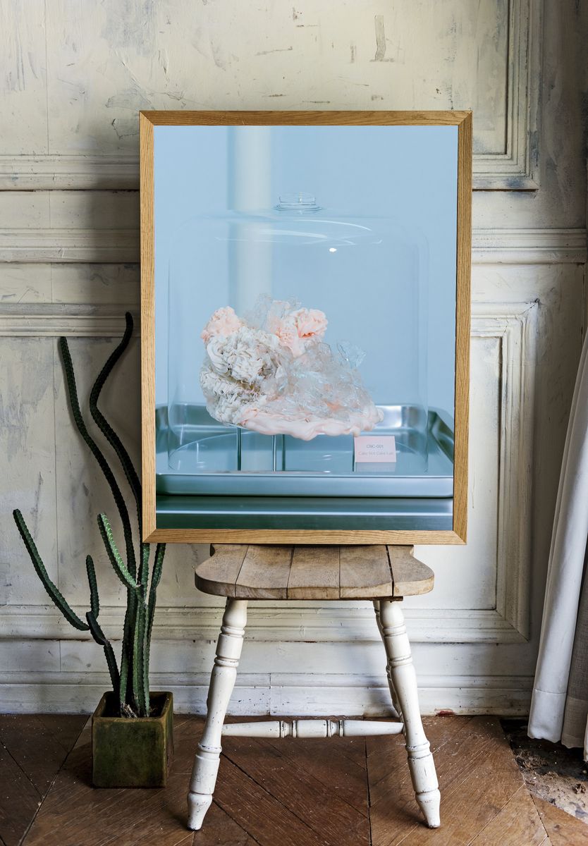 Cake Under Glass Photography Print. — room view 1