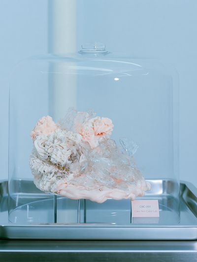 Cake Under Glass Photography Print.