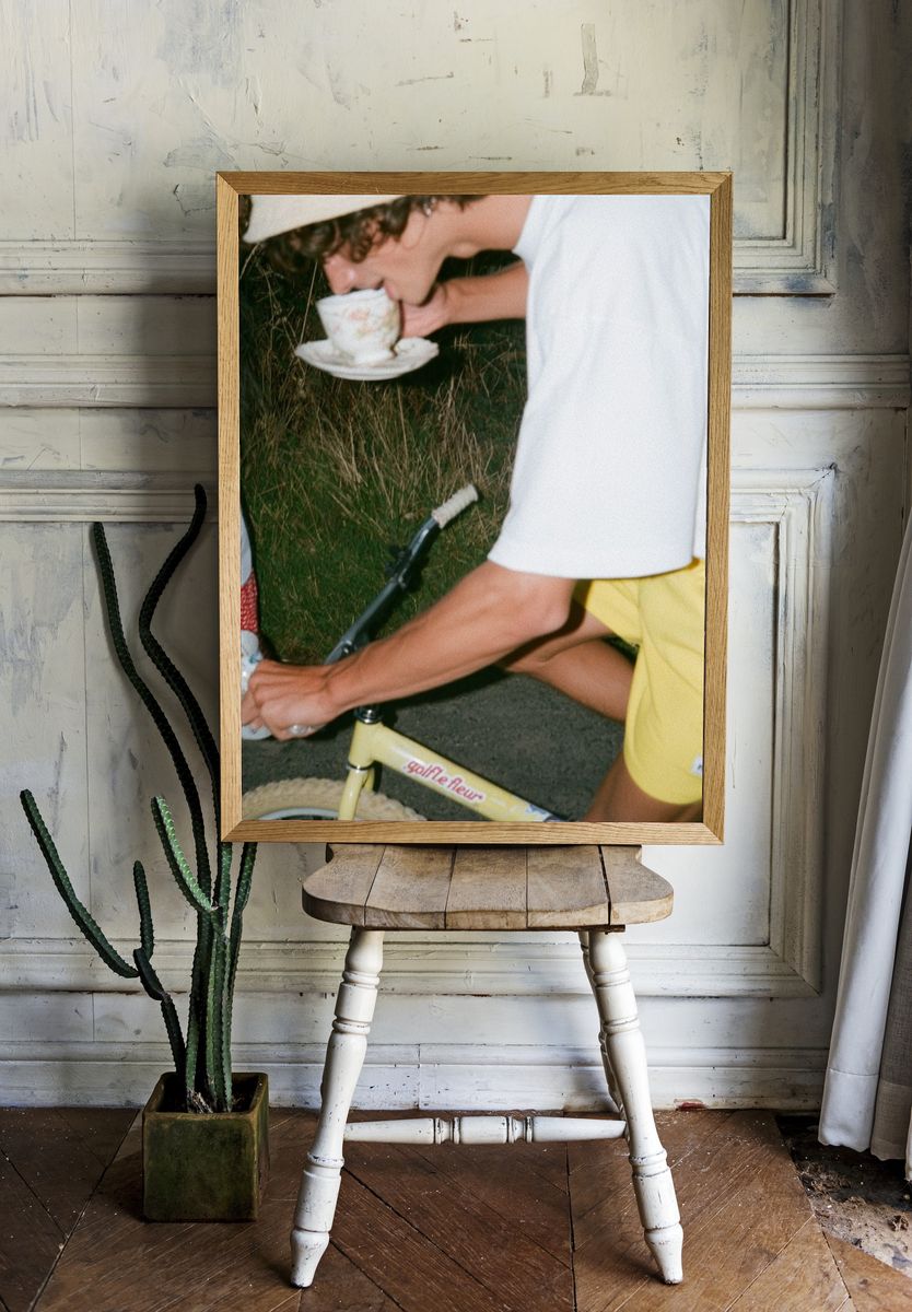Vintage Picnic Bicycle Photography Poster. room preview