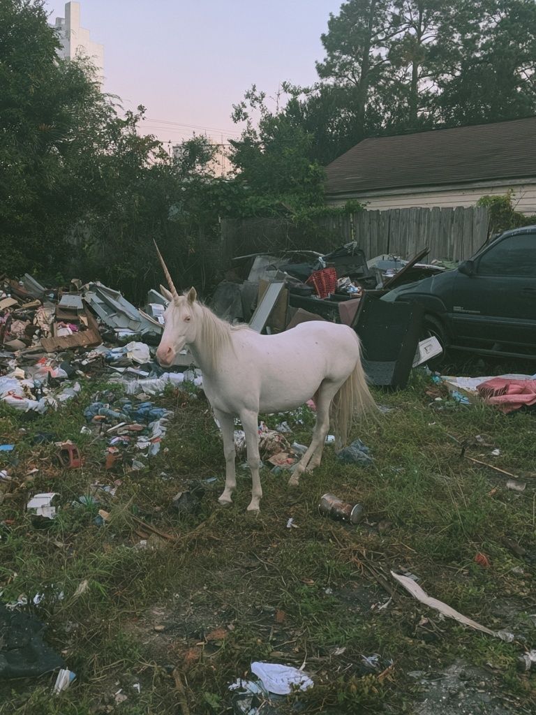 White Unicorn in Junkyard Photography Poster. poster detail
