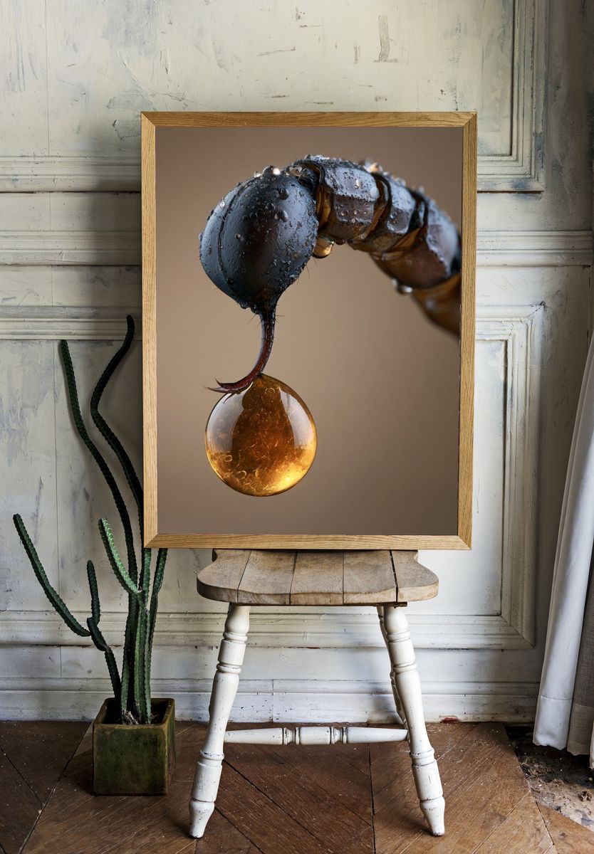 Macro Insect Droplet Photography Poster. — room view 1