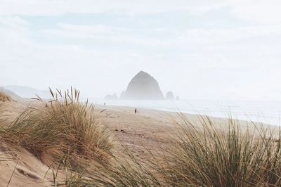 Cannon Beach, Oregon, United States. poster print