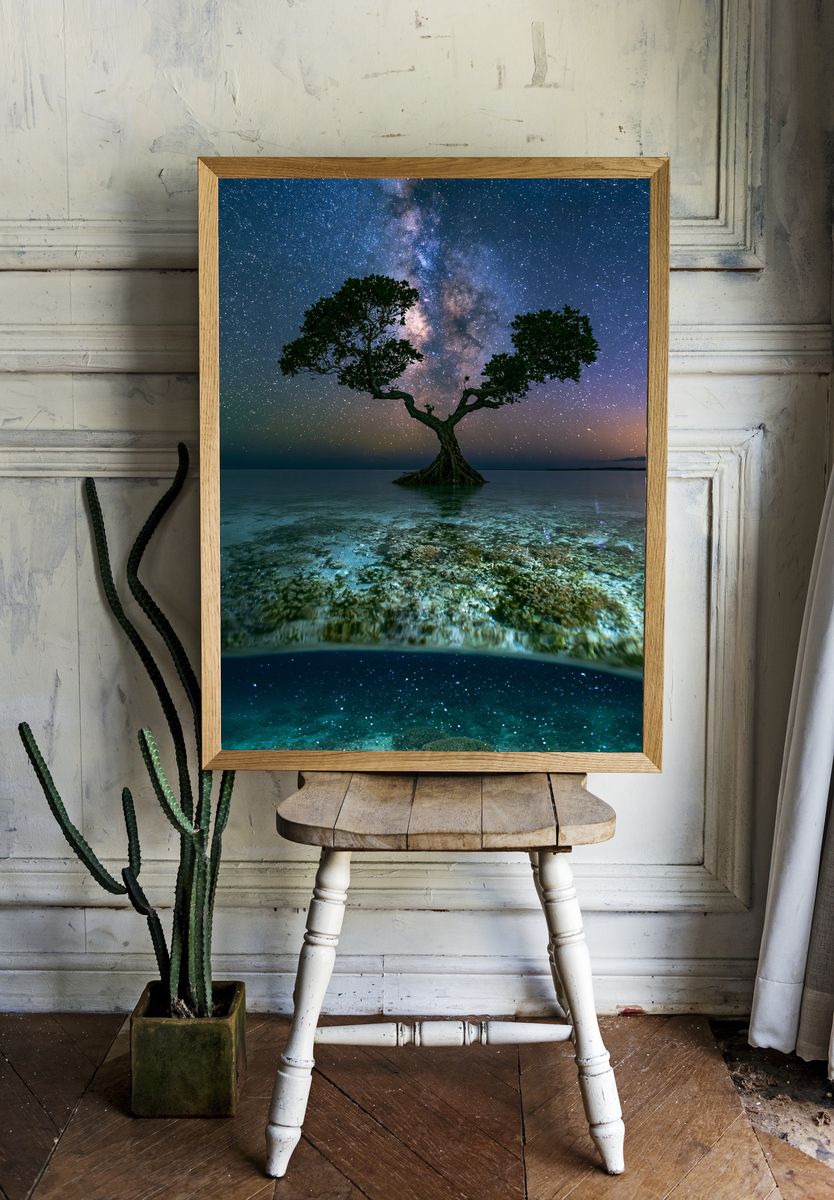 Milky Way Mangrove Nightscape Poster. room preview