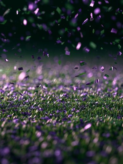 Purple Confetti Field Photography Poster. poster