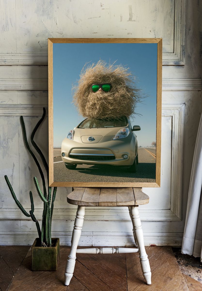 Desert Hair Car Photography Poster. room preview
