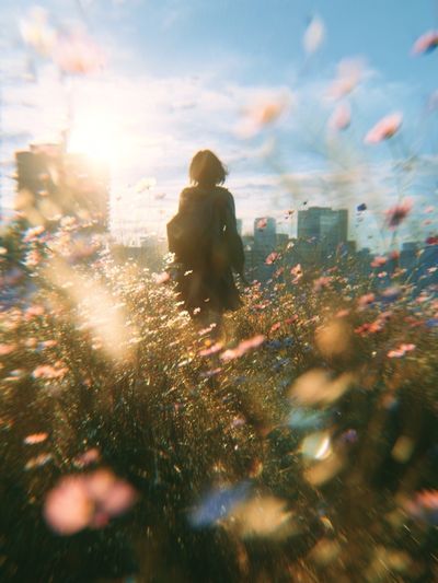 Sunlit Meadow Silhouette Photography Poster. poster print