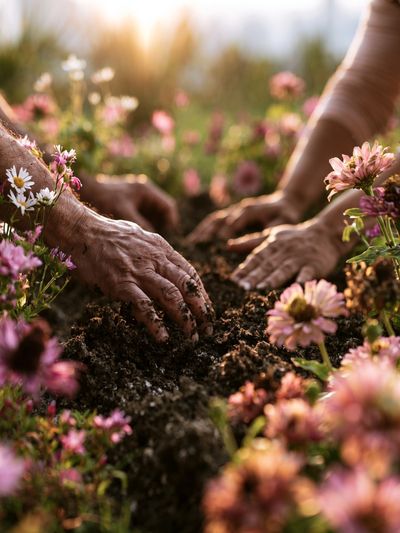 Hands Planting Wildflowers Photography Poster. poster