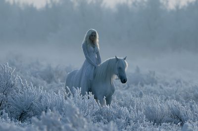 Winter White Horse Portrait Poster. poster print