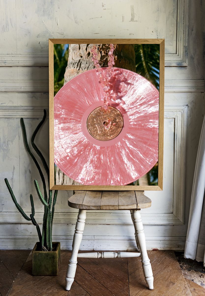 Pink Vinyl Disc Photography Poster. — room view 1