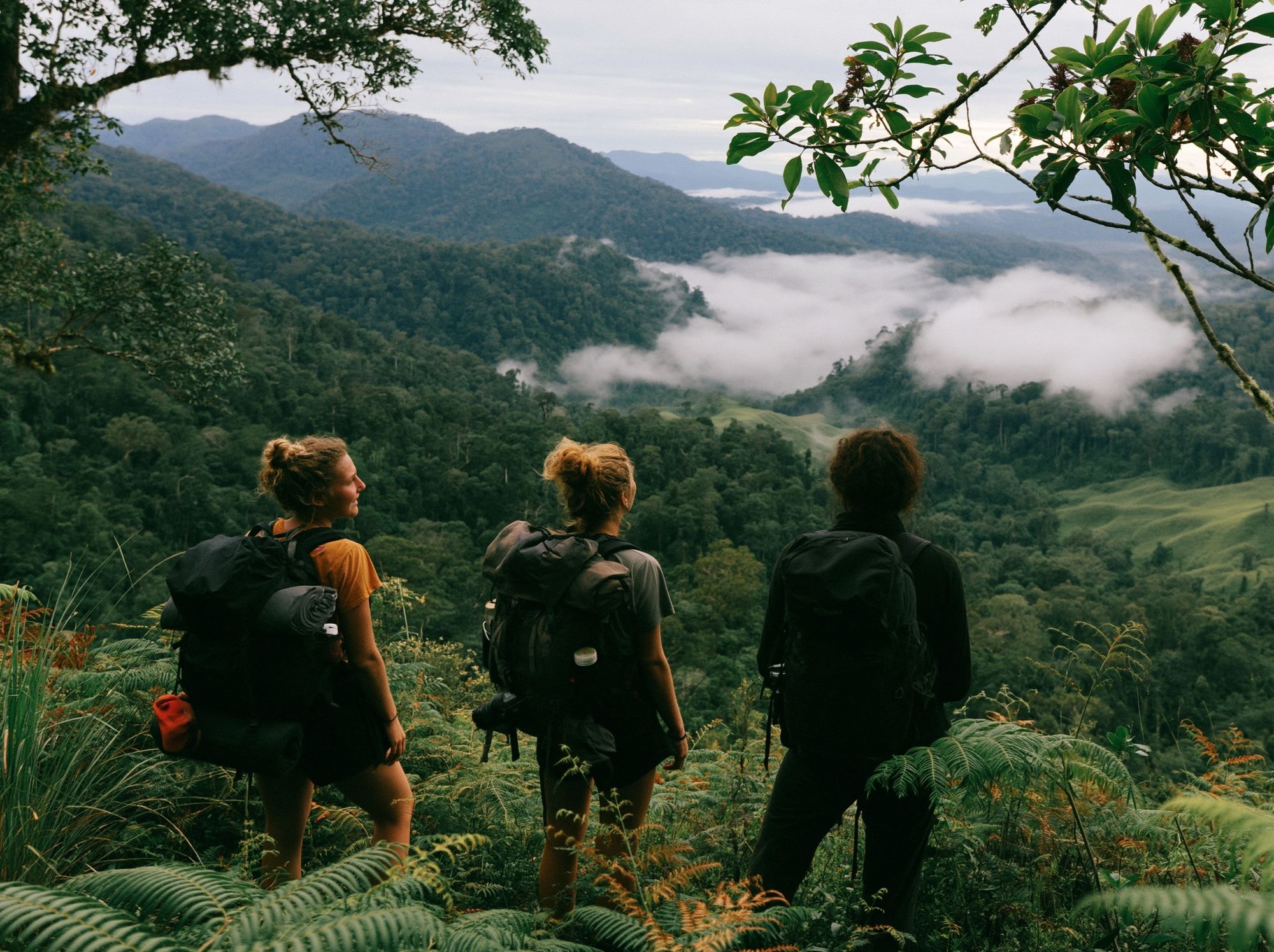 Misty Jungle Hikers Photography Poster. poster detail