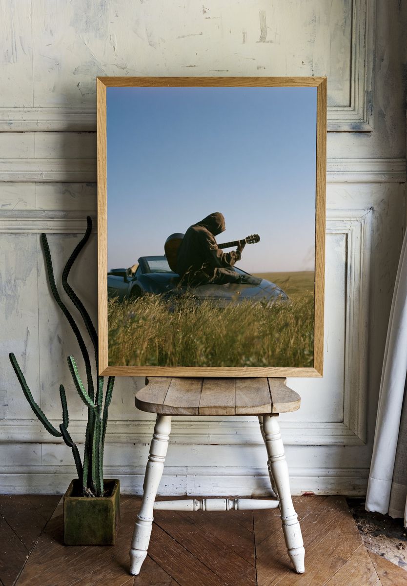 Guitarist in Field Photography Poster. room preview