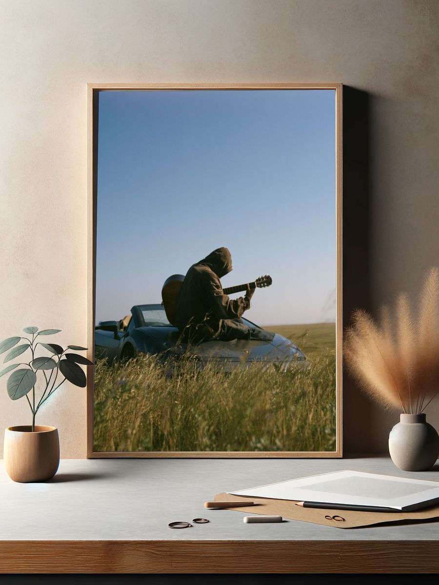 Guitarist in Field Photography Poster. — room view 2