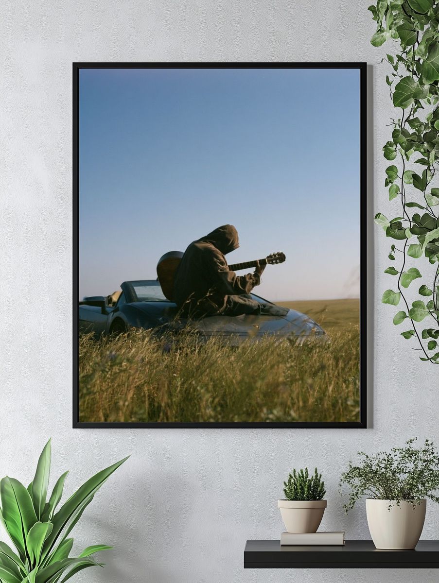 Guitarist in Field Photography Poster. — room view 4