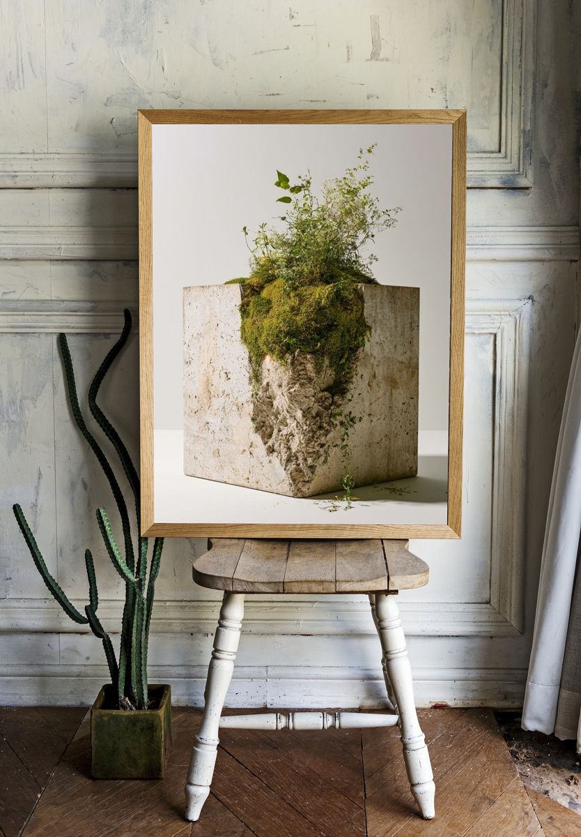 Mossy Stone Planter Photography Poster. room preview