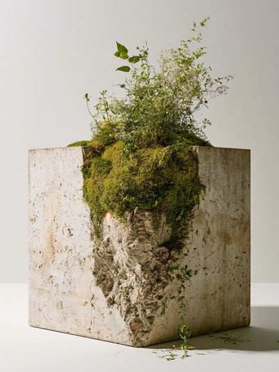 Mossy Stone Planter Photography Poster.
