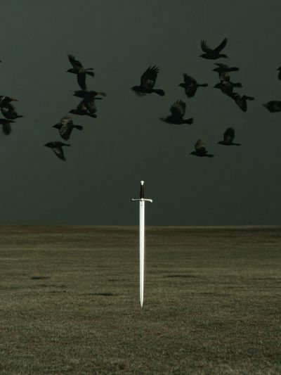 Sword in Field Surrealism Print.