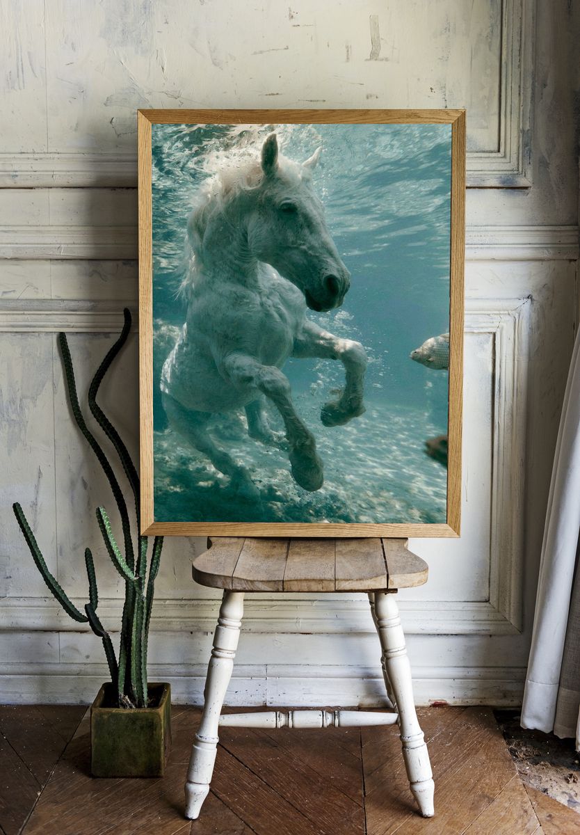 White Horse Underwater Photography Poster. — room view 1