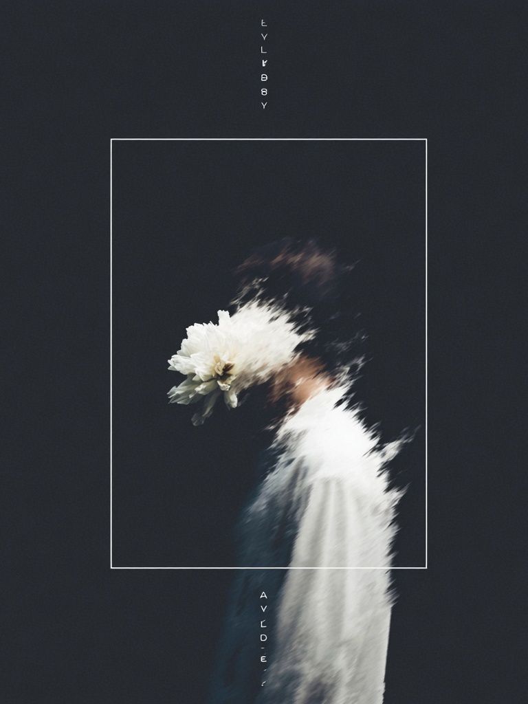 Blurred Floral Figure Photography Poster. poster detail