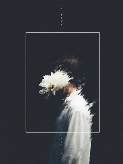 Blurred Floral Figure Photography Poster. poster print