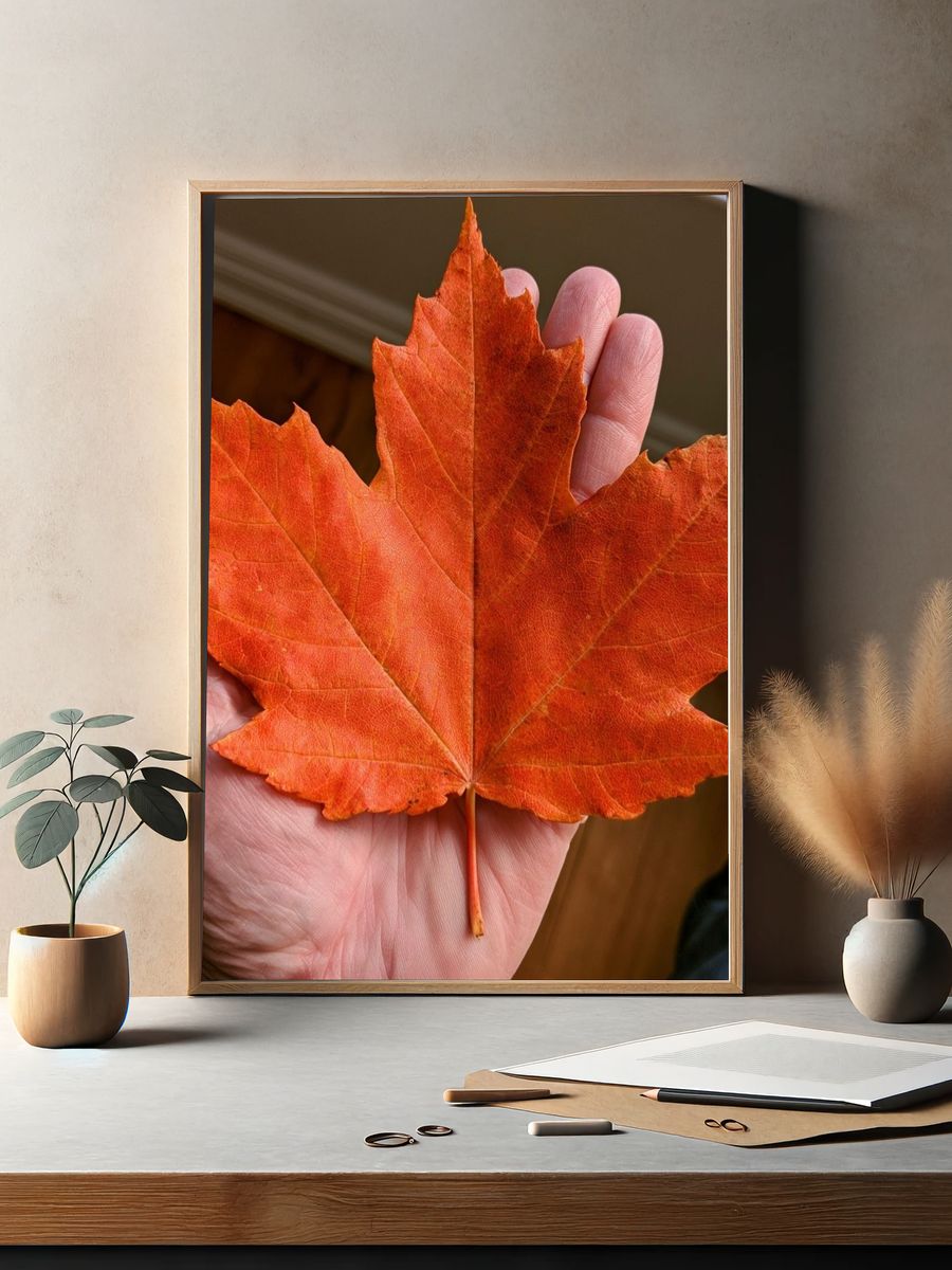 Autumn Maple Leaf Photography Poster. — room view 2