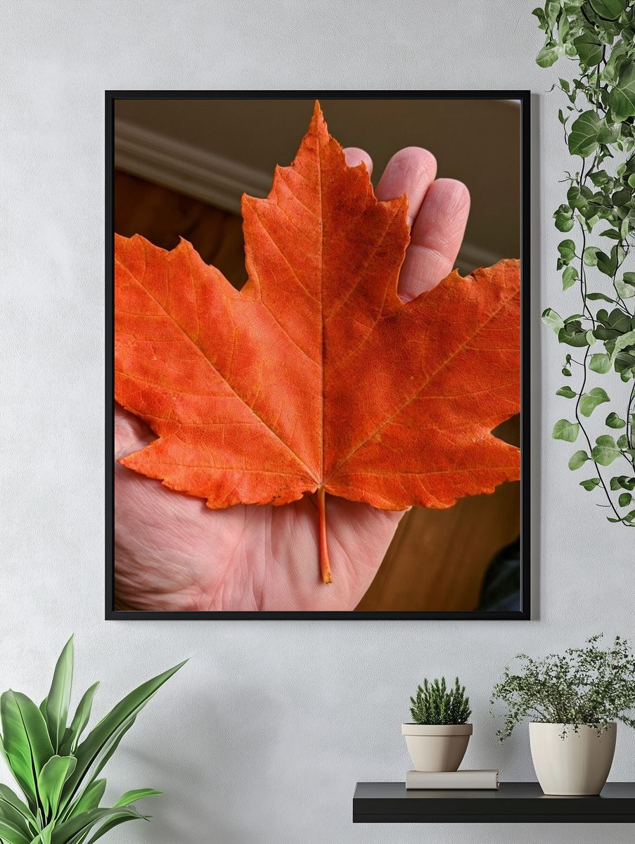 Autumn Maple Leaf Photography Poster. — room view 4