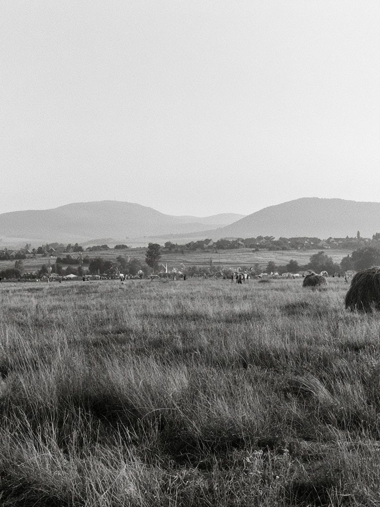 Misty Grassland Landscape Print. poster — photography art