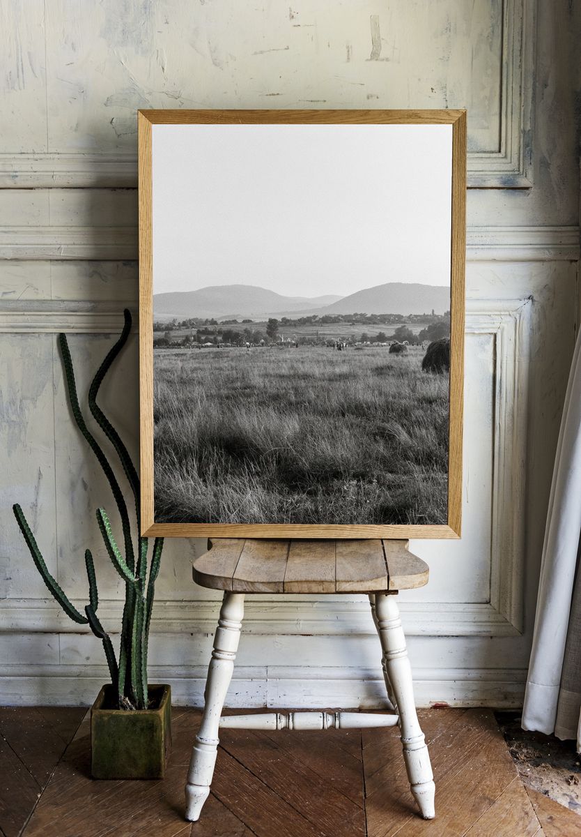 Misty Grassland Landscape Print. — room view 1