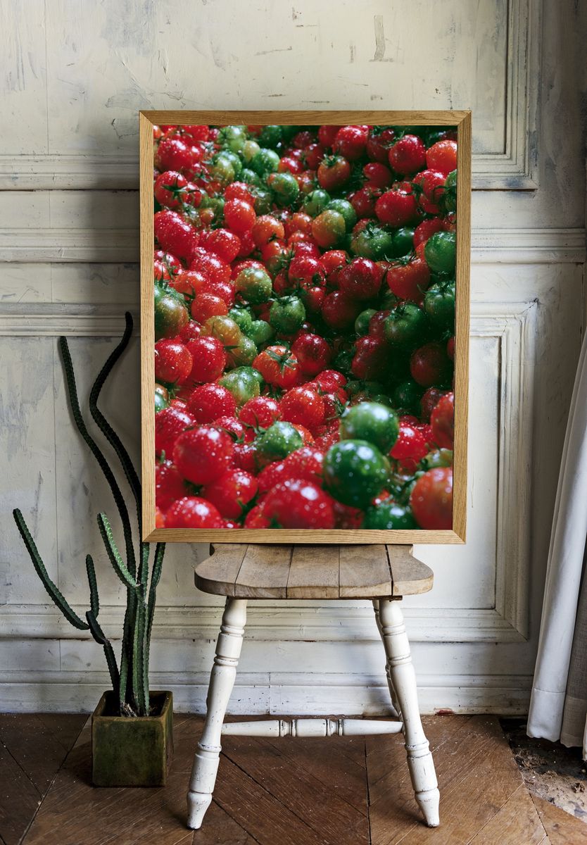 Tomato Harvest Photography Poster. — room view 1