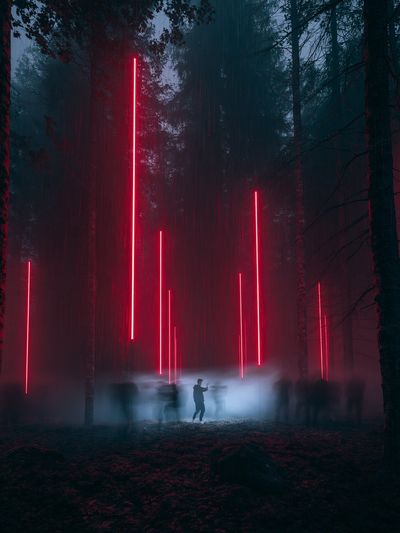 Neon Forest Light Installation Poster.