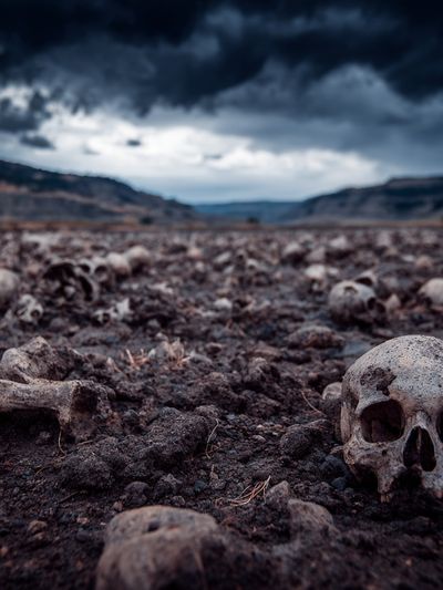 Bleak Skull Landscape Photography Poster.