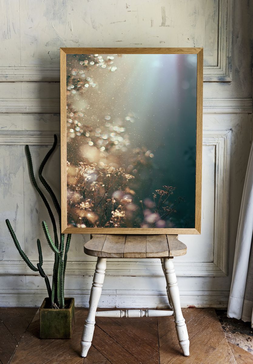 Sunlit Meadow Bokeh Photography Poster. — room view 1
