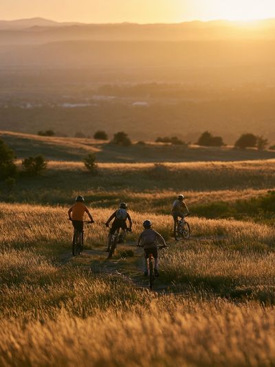 Golden Hour Mountain Biking Poster.