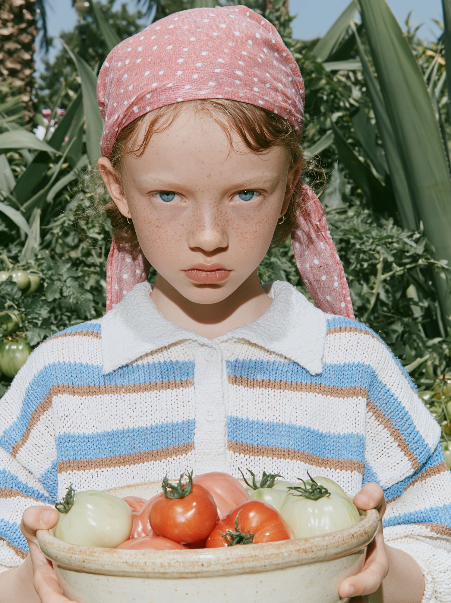 Tomato Harvest Portrait Print. poster detail