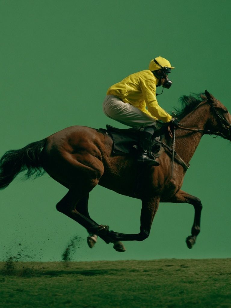 Horse Racing Jump Photography Poster. poster detail