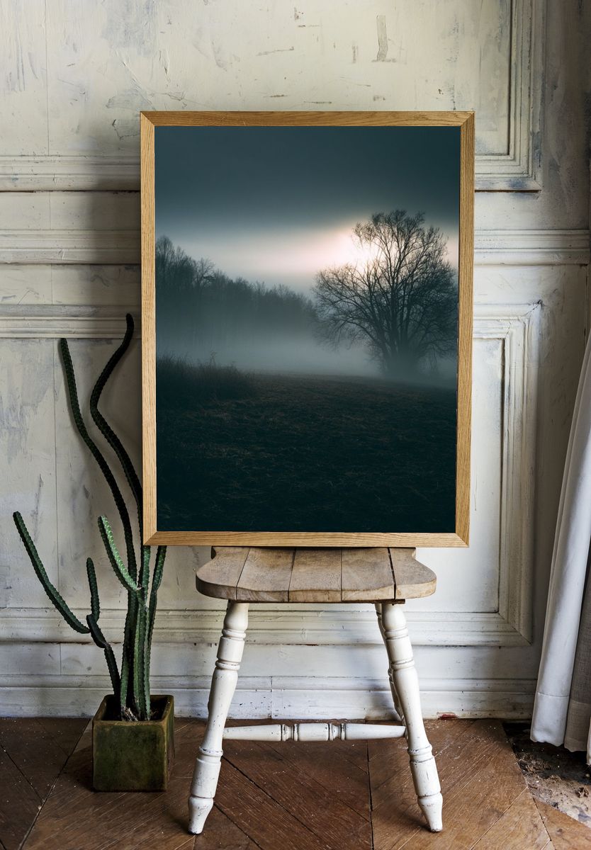 Misty Tree at Dawn Photography Poster. room preview